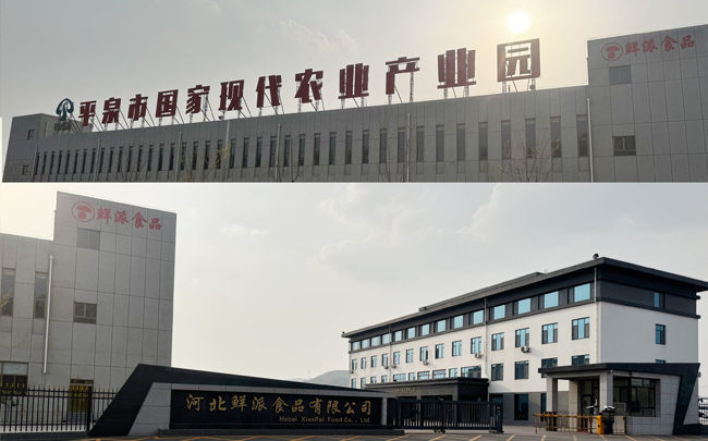 鮮切脆薯條經典案例：河北鮮派生產線現場